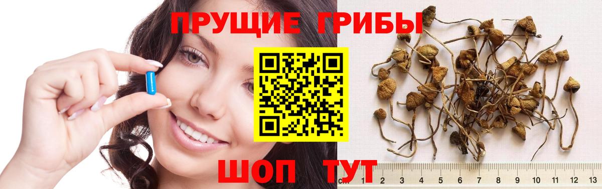 Галлюциногенные грибы мицелий Борисоглебск